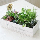 2011년 플로리스트 7월호 잡지 - Mini Garden