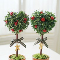 2012년 플로리스트 12월호 잡지 - Topiary